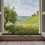 Langhe *