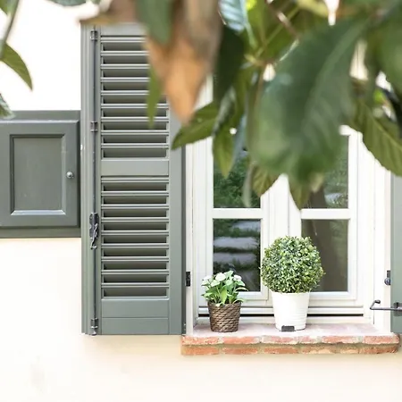 Langhe * Castiglione Falletto