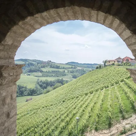 Langhe * 카스티글리오네 팔레토